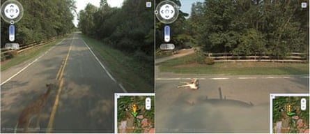 Google's Street View camera car hits a baby deer on Five Points Road near Rush, New York. Photograph: The Daily What