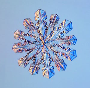 Image result for snowflake under microscope