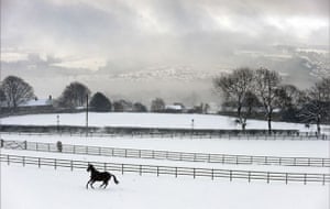 Gallery The week in wildlife: Horses in the snow on Holcombe Hill