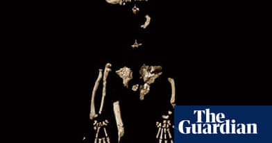 Ardi In Pictures Earliest Human Ancestor Revealed Science