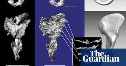 Ardi In Pictures Earliest Human Ancestor Revealed Science