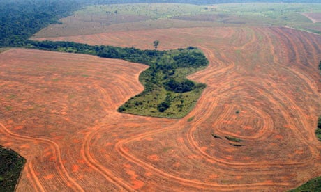 Deforestation in Novo  Progresso, Pará, in 2004 was the second worst on record