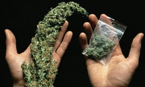 ÎÏοÏÎλεÏμα εικÏÎ½Î±Ï Î³Î¹Î± skunk drug