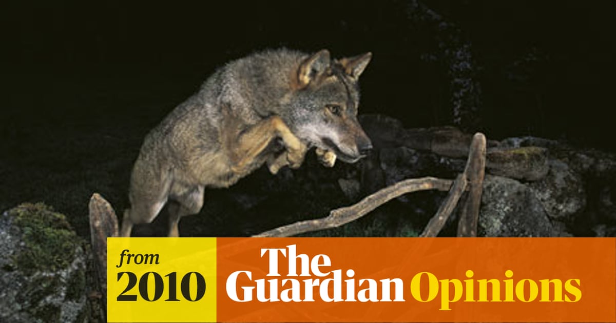 Fake wolf, real smiles | Charles Nevin | The Guardian