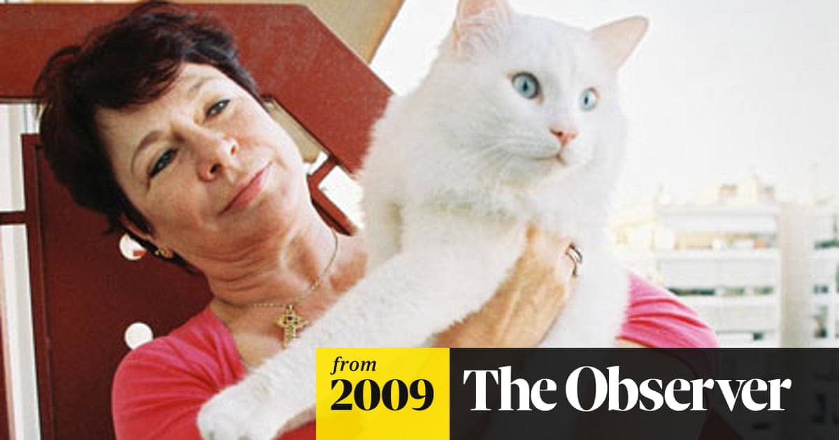 Divided Cypriots Fall Out Over New Breed Of Cat World News The Guardian