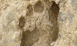 human found footprints footprint kenya fossil earliest ancient oldest left 2009 guardian ago million feb