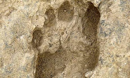 Earliest human footprints found in Kenya | Kenya | The Guardian
