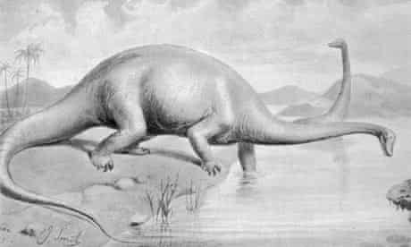 Dinosaur Diplodocus carnegii