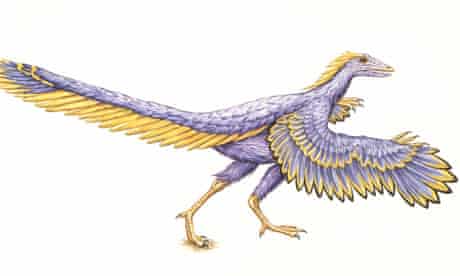 Archaeopteryx, artist's impression