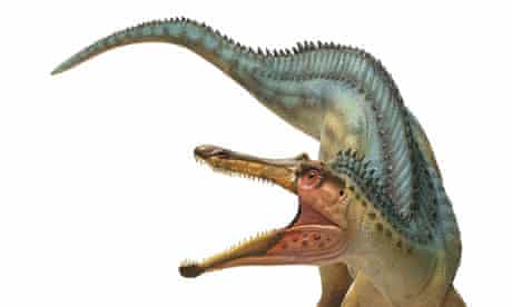 Baryonyx dinosaur