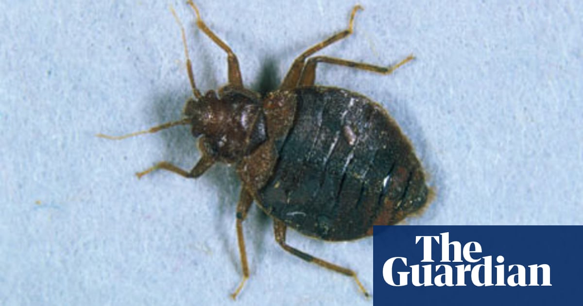 Don T Let The Bedbugs Bite Life And Style The Guardian