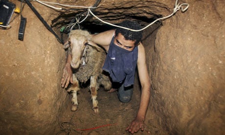 Palestinian smuggler moves goat in tunnel