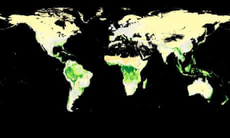 Amazon Could Shrink By 85 Due To Climate Change Scientists Say Trees And Forests The Guardian Amazon Could Shrink By 85 Due To Climate Change Scientists Say Trees And Forests The Guardian