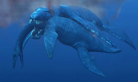 Mosasaur discovered with half its face bitten off by another mosasaur