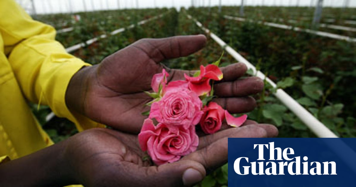 Is It Ok To Buy Flowers For Your Mum This Sunday Environment The Guardian