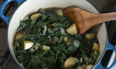 Nettle soup by Sanjida O'Connell