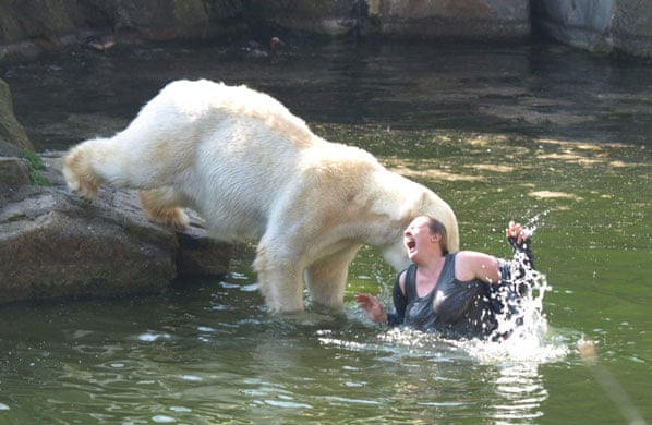 Polar bear attacks woman at Berlin Zoo | World news | The Guardian