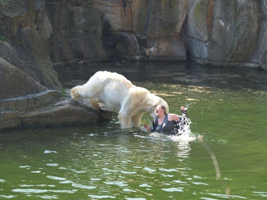 Polar bear attacks woman at Berlin Zoo | World news | The Guardian