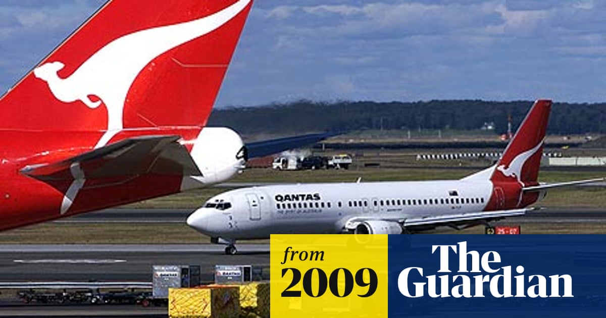 Snakes On A Plane Pythons Escape On Australian Flight Australia