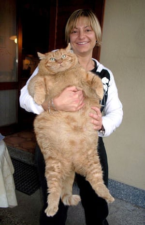 Overweight pets: Laura Santarelli with her cat Orazio, Eupilio, Italy - Apr 2008