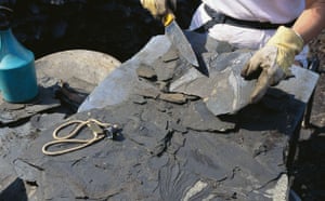 Grube Messel pit: Removing Insect Fossil from Rock