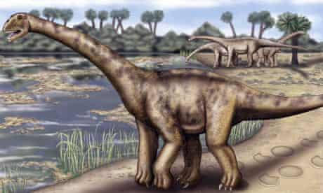 An artists rendering of a giant sauropod dinosaur