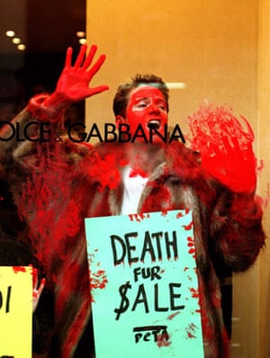Peta protests: Peta Dolce & Gabbana protest 