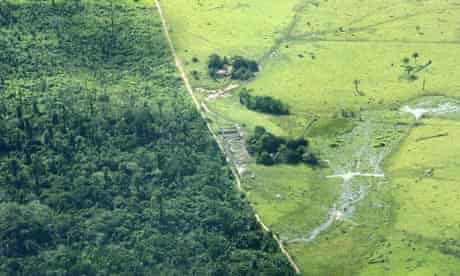 Aerial view of cattle farm in Amazonian deforested jungle close to Maraba