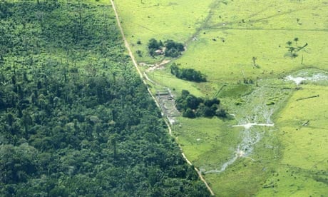Amazon Deforestation Leads To Development Boom And Bust Deforestation The Guardian Amazon Deforestation Leads To Development Boom And Bust Deforestation The Guardian