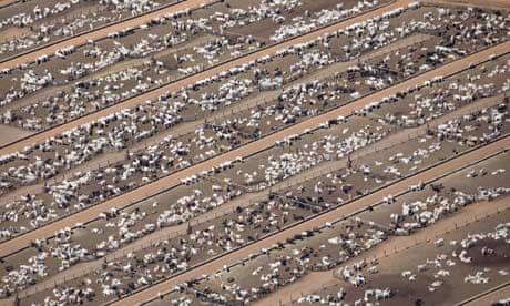 a cattle farm at Estancia Bahia, Mato Grosso in Brazil