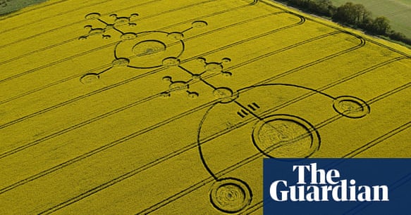 In pictures: Crop circles from the air | Environment | The Guardian