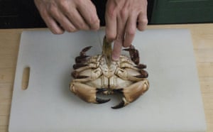 WoM: Crabs gallery: Step 1