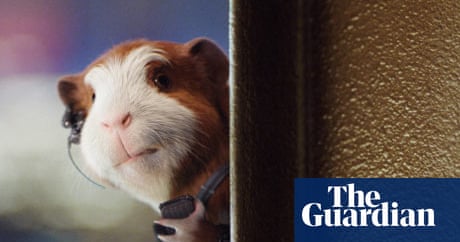 Is G-Force bad news for real guinea pigs? | Pets | The Guardian