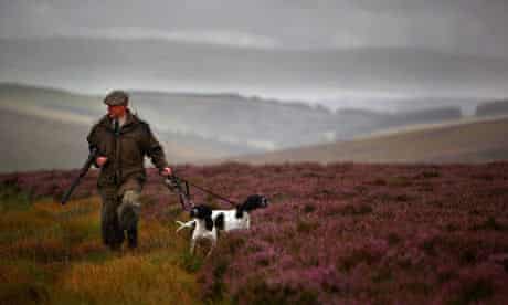 A grouse keeper at Horseupcleugh estate in the Lammermuir Hills in the Borders