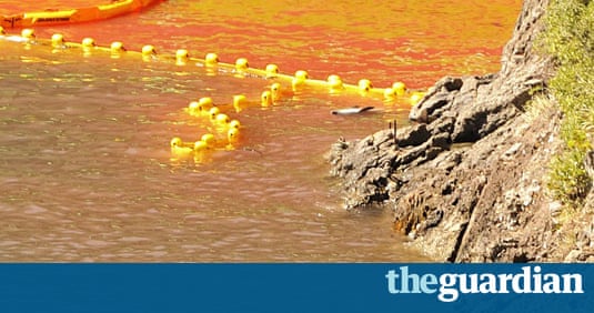 Village Auto Body >> Dolphin cull at Japan's 'Killer Cove' | Environment | The Guardian Village Auto Body >> Dolphin cull at Japan's 'Killer Cove' | Environment | The Guardian