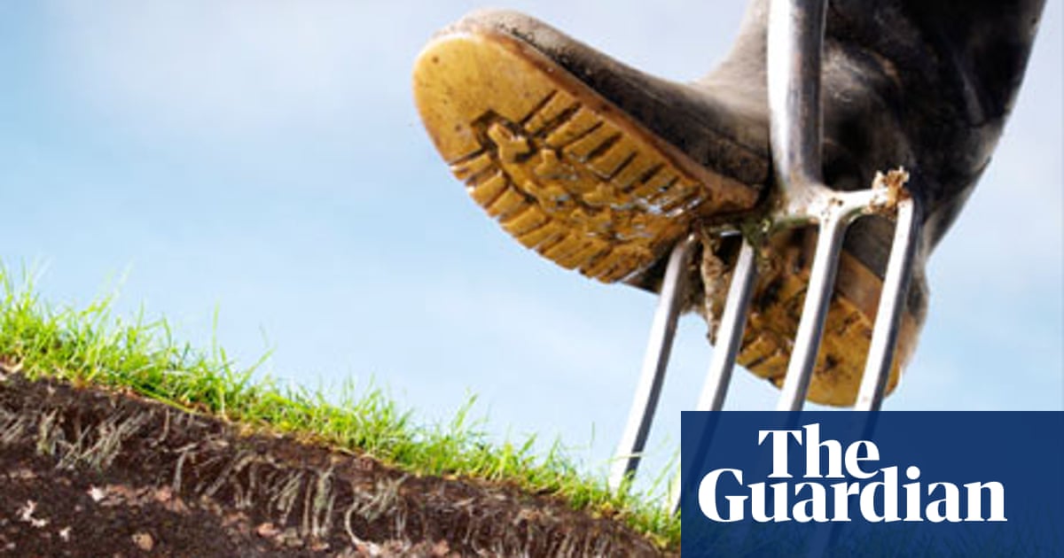 Readers Recommend Songs About Gardens Music The Guardian