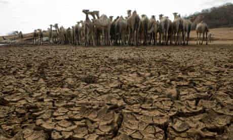 Drought starts to bite in Kenya