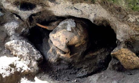 Fossil skull of Homo erectus discovered in Georgia