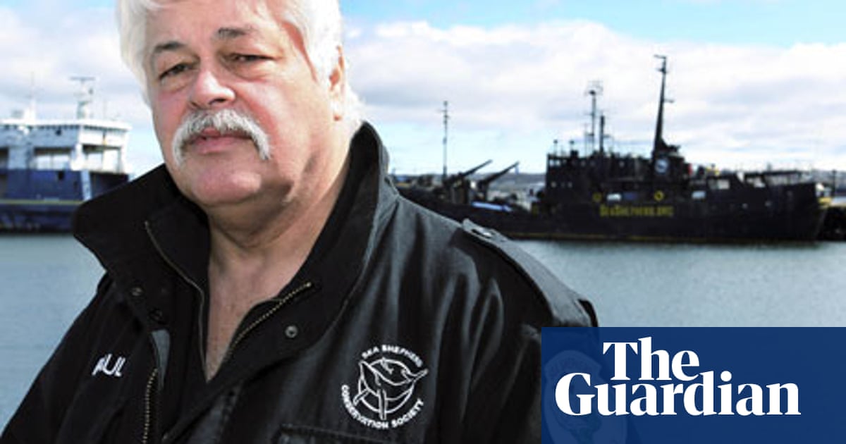 Sea Shepherd S Paul Watson You Don T Watch Whales Die And