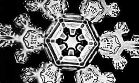 Snowflake photographed by Wilson A Bentley