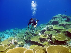 Chagos Archipelago: Chagos Archipelago
