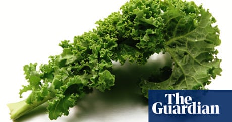 seasonal food kale seasonal food