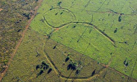 arthworks built by a lost Amazonian civilisation dating to 200 AD