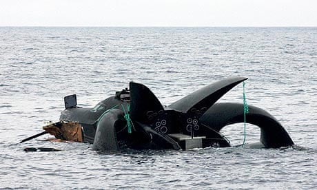 Anti-whaling boat Ady Gil sinks off Antarctica