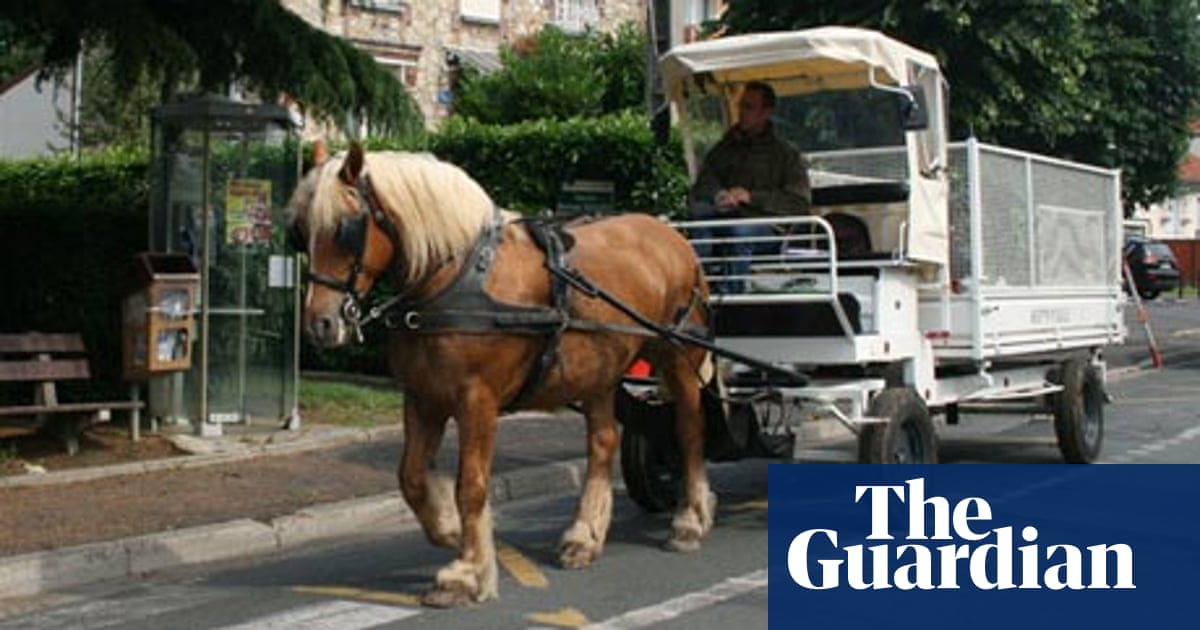 French Towns Swap Rubbish Trucks For Horse Drawn Carts Waste The Guardian