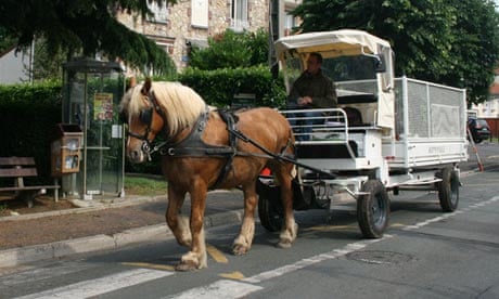 horse and cart recycling