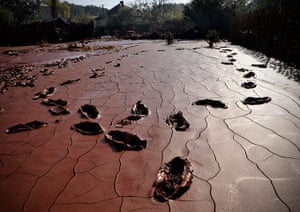 Hungary toxic sludge: Footsteps pick their way through the toxic red sludge which covers a yard