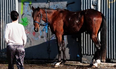 A horse is tied to a doorway in Ballymun, Dublin