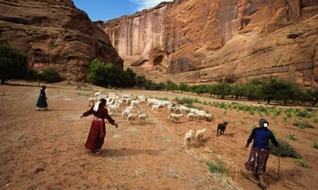 Navajo tribespeople herding sheep in Arizona