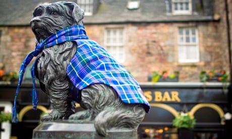The magic dog of Todmorden stirs national interest | Halifax | The Guardian